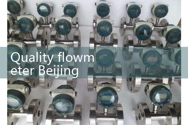 Quality flowmeter Beijing manufacturer 6